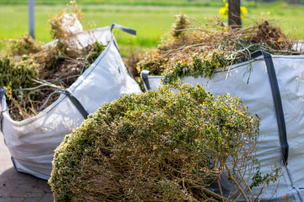 Same-Day Junk Removal Services in New Cordell, OK